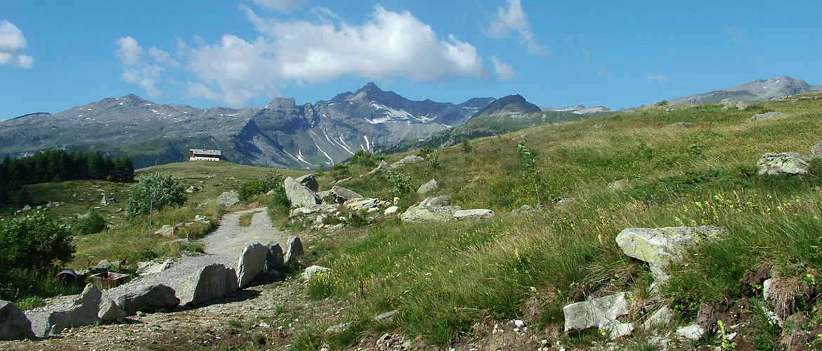 Traduzioni tecniche italiano polacco