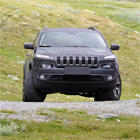 Servizi di traduzione e interpretariato